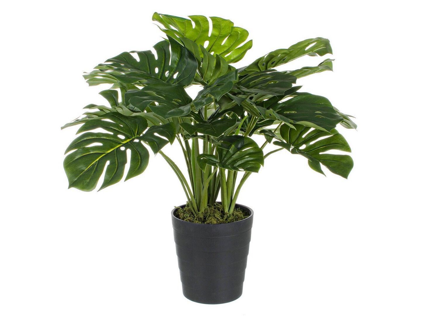 Искусственное растение BIZZOTTO FILODENDRO ARCH-00062351