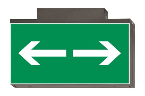 DST-769 Lisu ceiling-mounted Daisalux Светильники аварийные Металлический Серый 