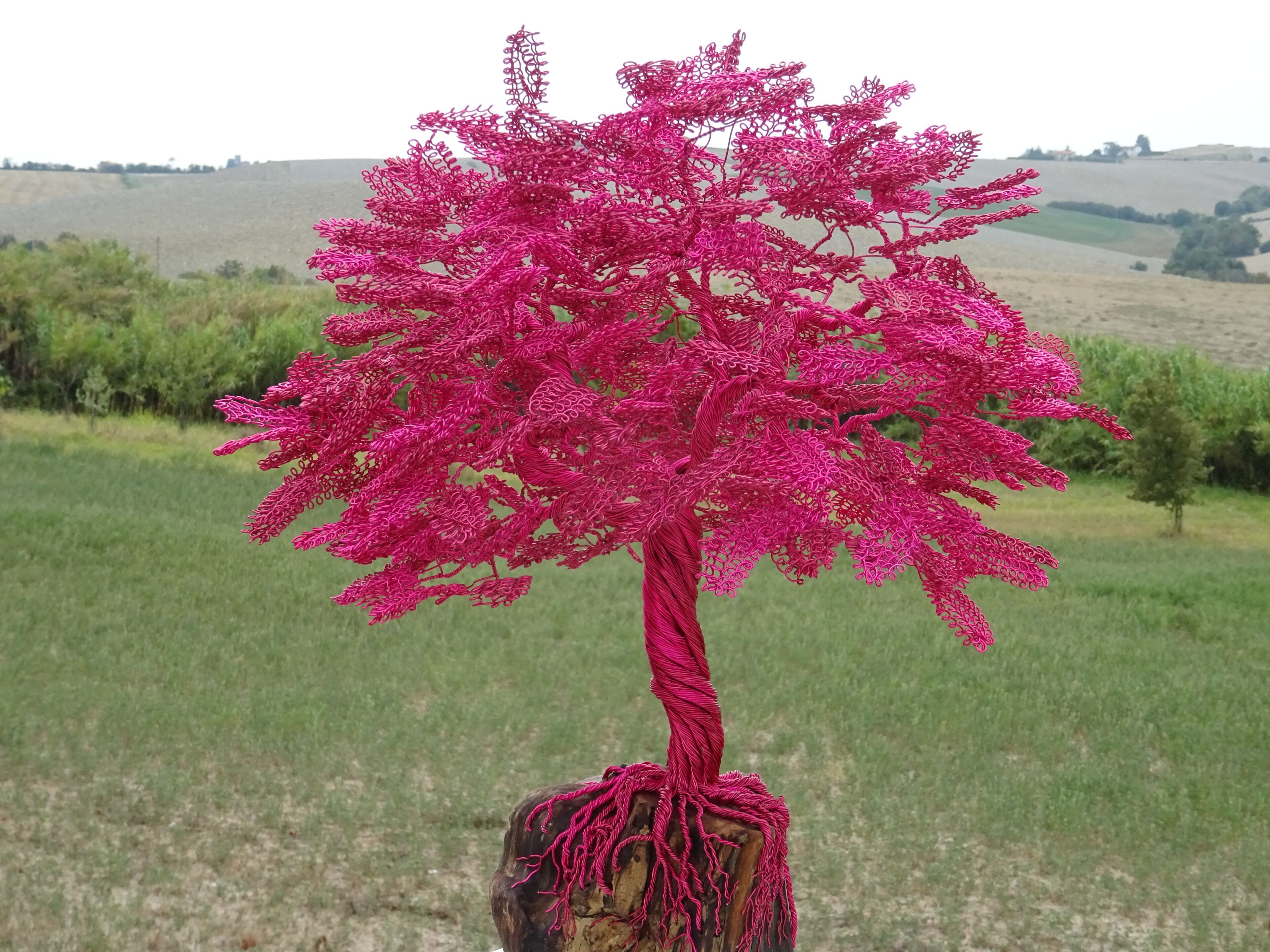 Скульптура из алюминия и оливкового дерева Mosche Bianche Zen Bonsai ARCH-00068954 - Вид №5