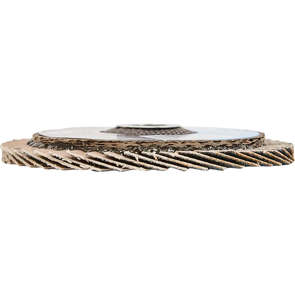 Круг лепестковый торцевой КЛТ1 Metabo Flexiamant 626876000 Р80 76x10 мм STLM-2127354 - Вид №1