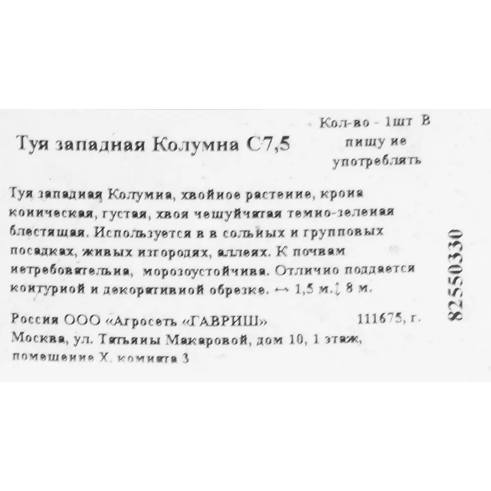Туя западная «Колумна» 22x50 см 82550330 STLM-2165953 ГАВРИШ  - Вид №1