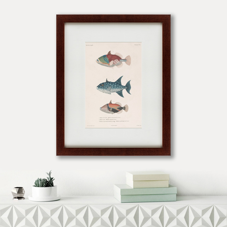 Картина: Tropical Fish, 1830 КАРТИНЫ В КВАРТИРУ  135737 Разноцветный  - Вид №1