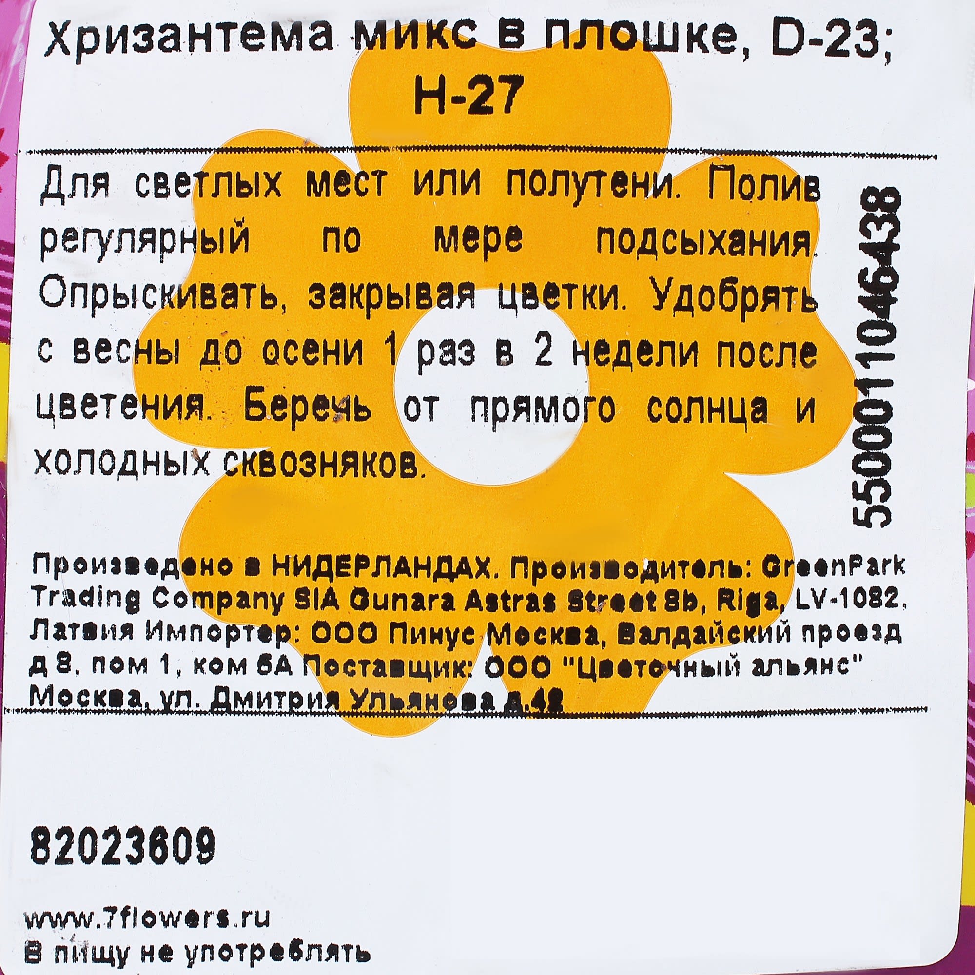 17699073 Хризантема микс Santreyd  - Вид №3