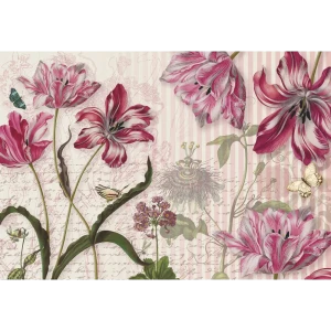 Фотообои бумажные, 368х254 см, KOMAR Цветные фантазии