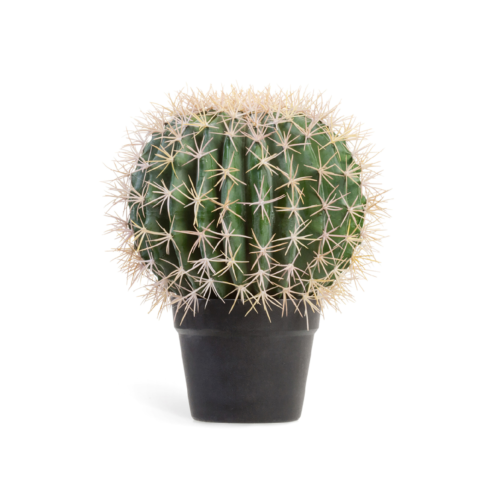 2000983221964 Кактус Баррель SERAX 