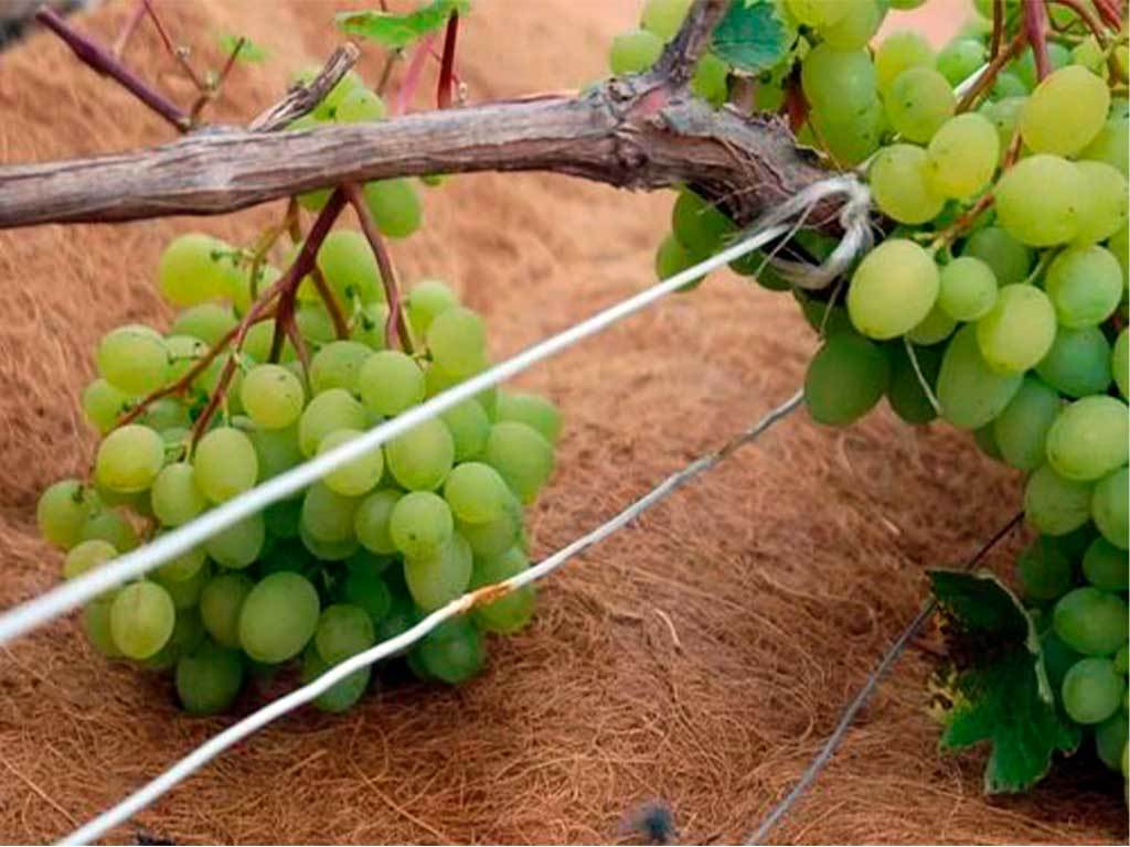 Круг приствольный Мульчаграм 60 см, комплект - 5шт ГеоПластБорд GPBST-236 - Вид №13