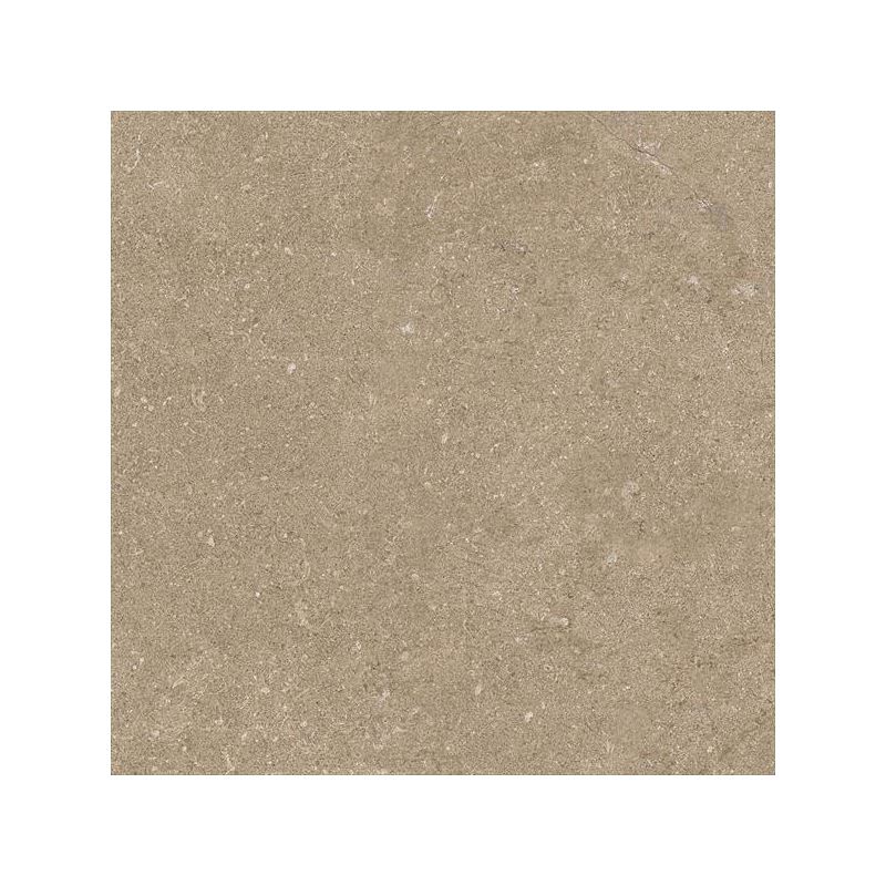 K94645300001VTE0  Vitraglobal Newcon 