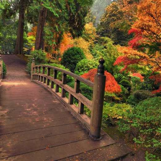 WP01060 Фотообои Verol Фотообои decoline 1х1 м