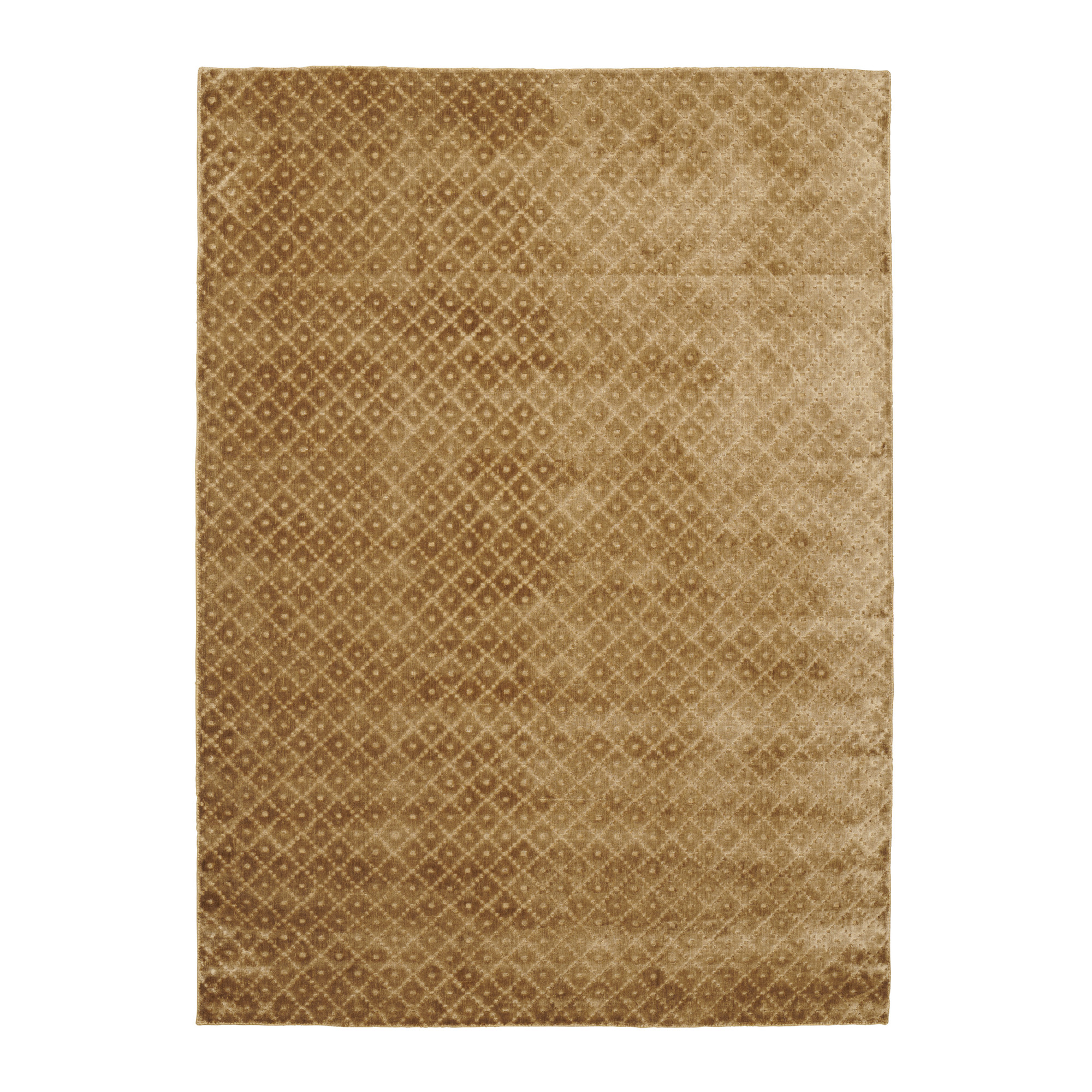 2000983243324 Ковер ochre 200/300 LINIE DESIGN Livia