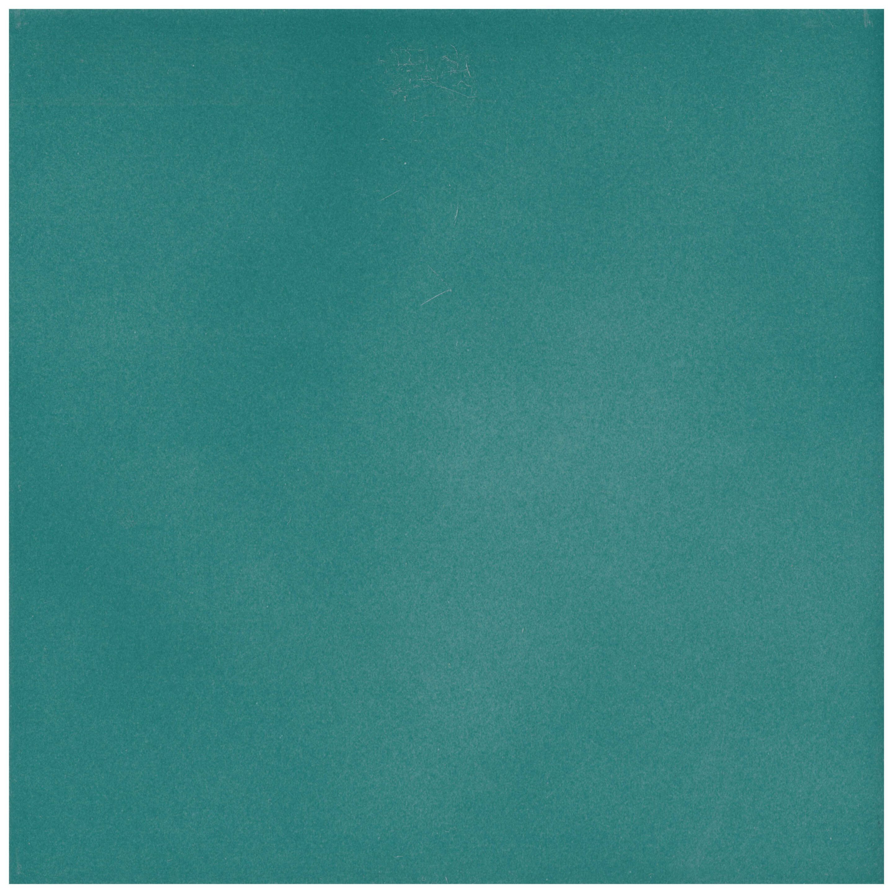 Пол / покрытие ручной работы La Riggiola одноцветный ARCH-00080124 - Вид №6