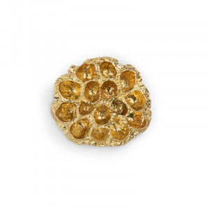 EA1021 Comb PULLCAST Earth Collection