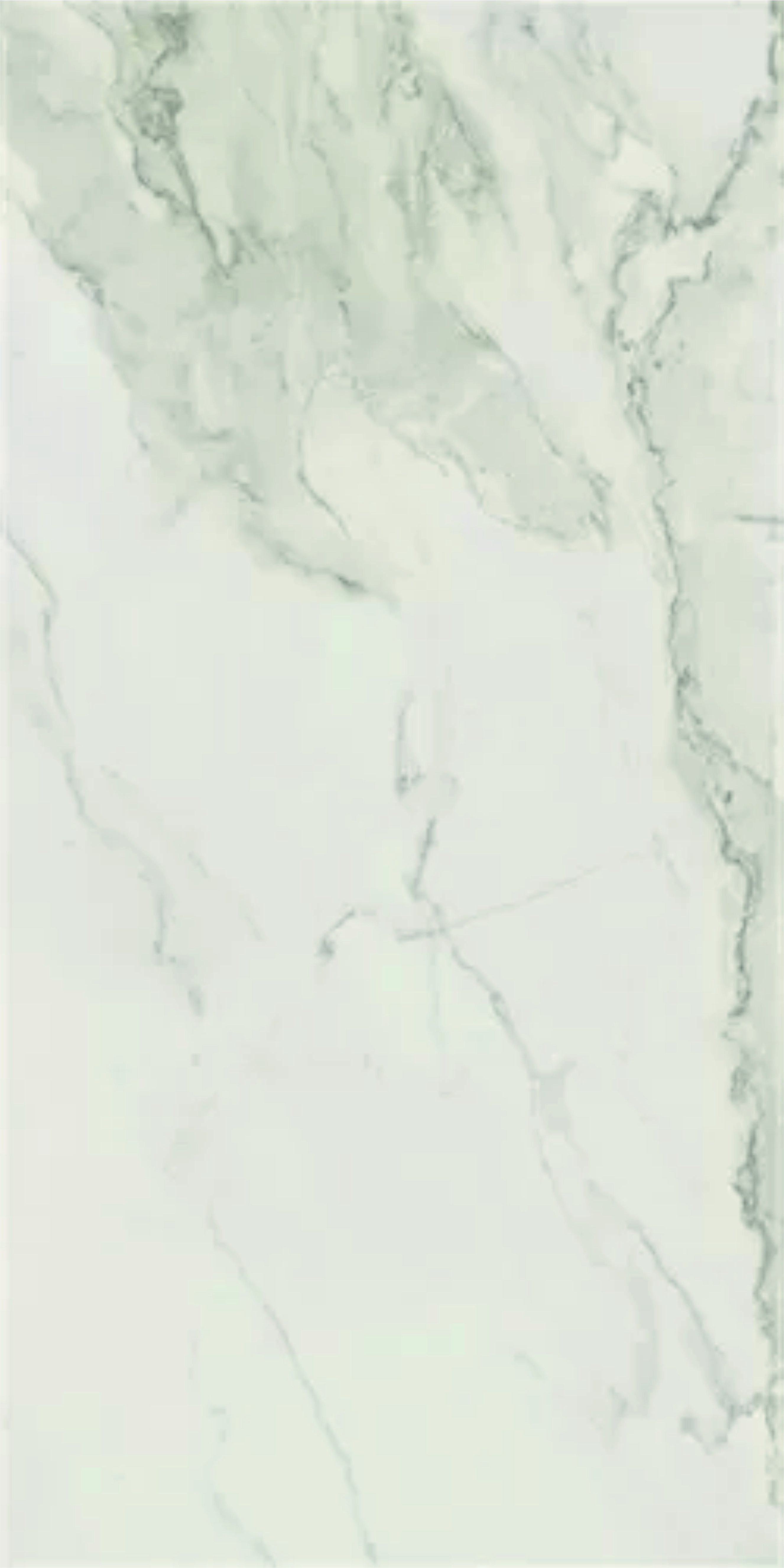 91100805 Керамогранит SILVER NAT 60х120см 1.44 м² цвет loc_000743 CALACATTA STLM-0484636 AZTECA