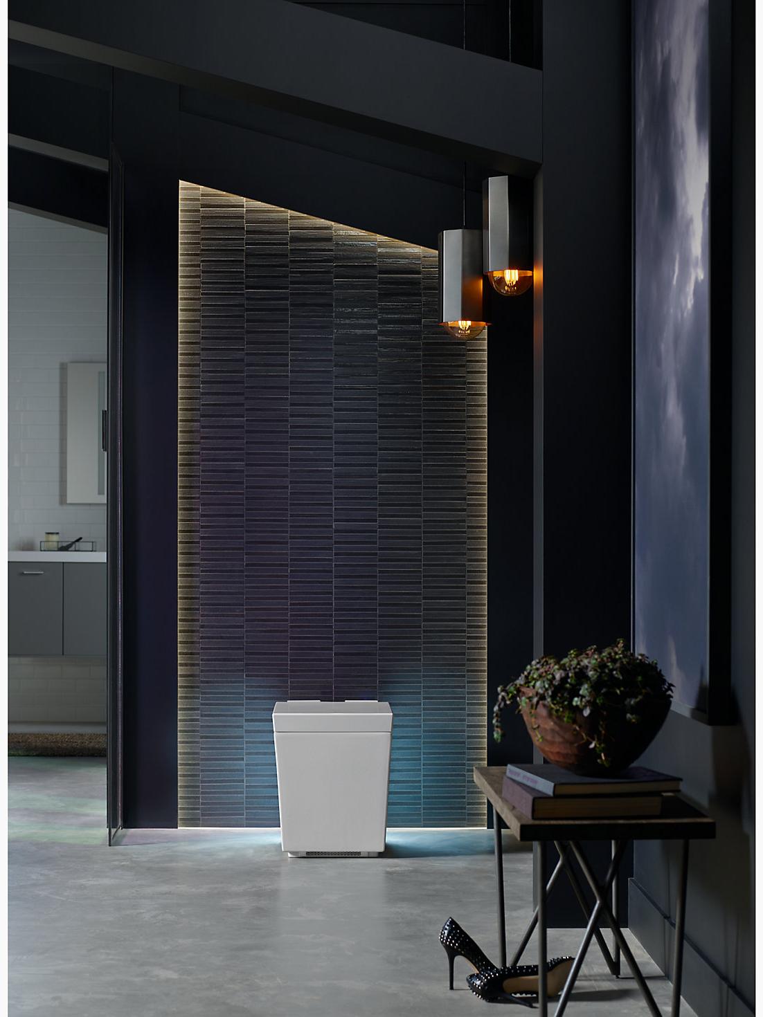 KOHLER  K-3901-NPR-0  - Вид №5