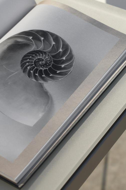 MNST1173 Обеденный стол pcsts white f8 212,5см x 105см Manutti Trento - Вид №8