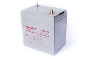 17376864 Тяговая аккумуляторная батарея TNE 6-270 EVEREST Energy
