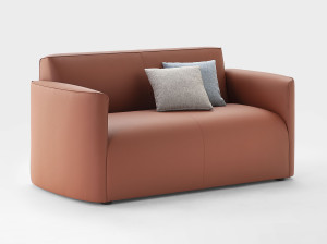 2-местный кожаный диван