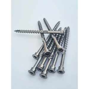 91854104 Саморез для строительства террас Гартус tbs-drill С1 5.0x60/36 TX25 100 шт STLM-1430102