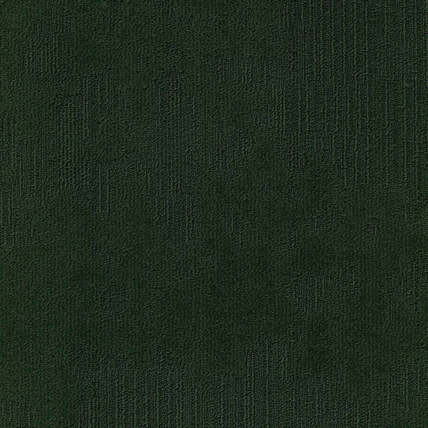 Ковровое покрытие ECONYL® MODULYSS &amp ARCH-00137115 - Вид №25