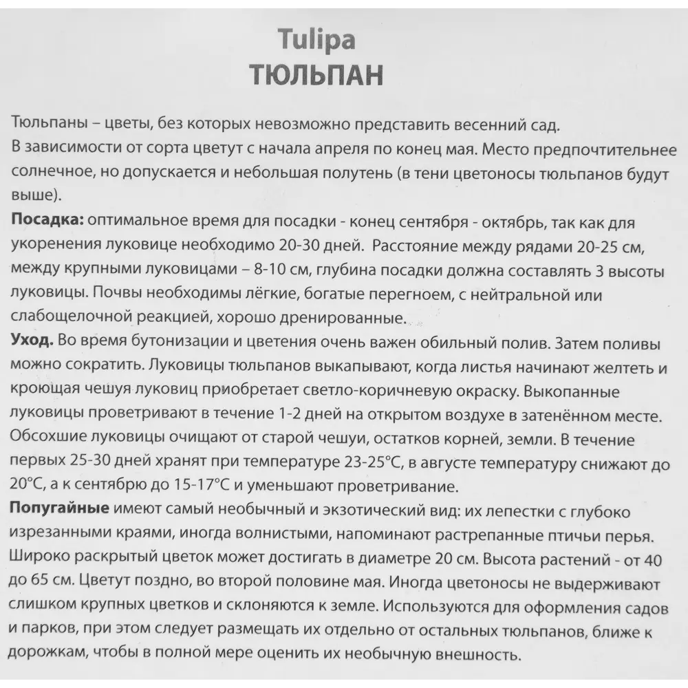 Тюльпан попугайный Рококо дабл луковица 11/12, 10 шт. 88294845 STLM-2108160 Santreyd  - Вид №2