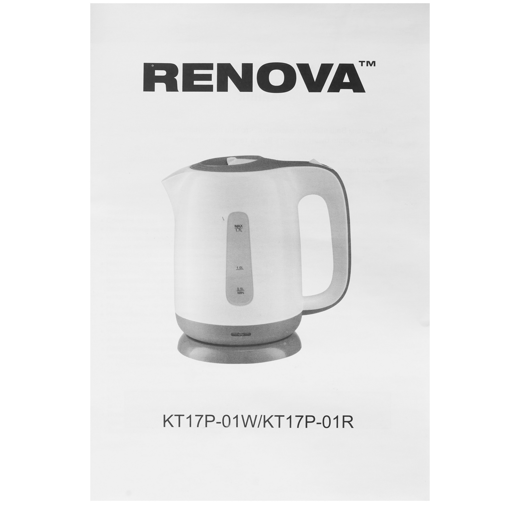 9182158 Электрочайник RENOVA KT17P-01W серый STDN-0097256 - Вид №4