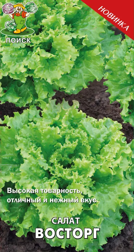 82102318 Семена Салат «Восторг» (А), 1 г STLM-0018956