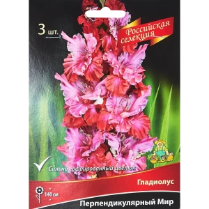 Гладиолус Перпендикулярный мир, 3 шт 86410011 STLM-2092990