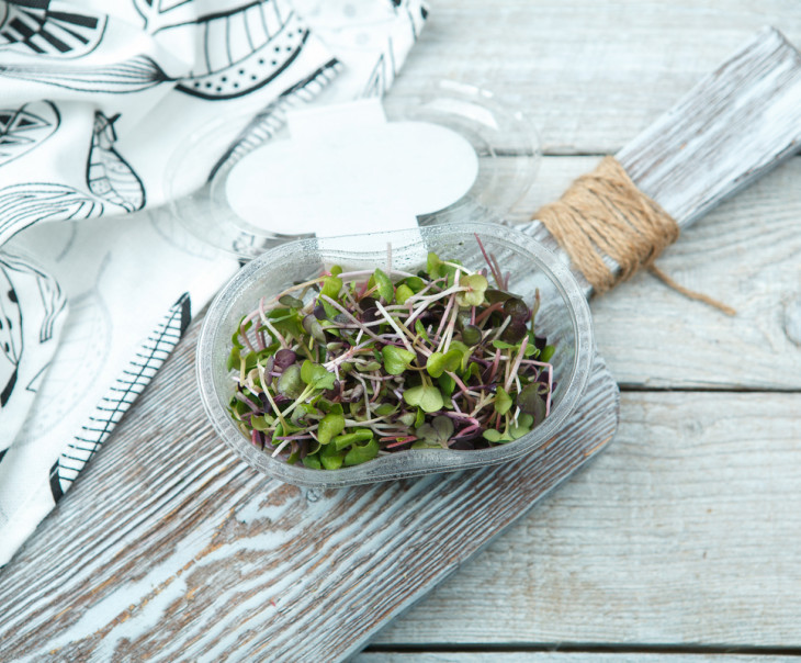 4125 Микрозелень редиса Вкусляндия  - Вид №1