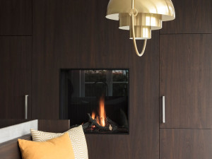 Газовый закрытый камин