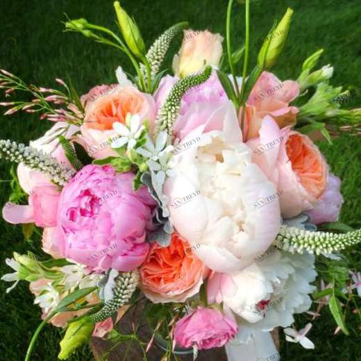 WP01928 Фотообои Verol Фотообои decoline 1х1 м