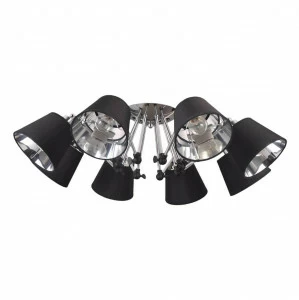 Потолочная люстра Eurosvet Koby 70063/8 хром EUROSVET BETTY 184250 Черный