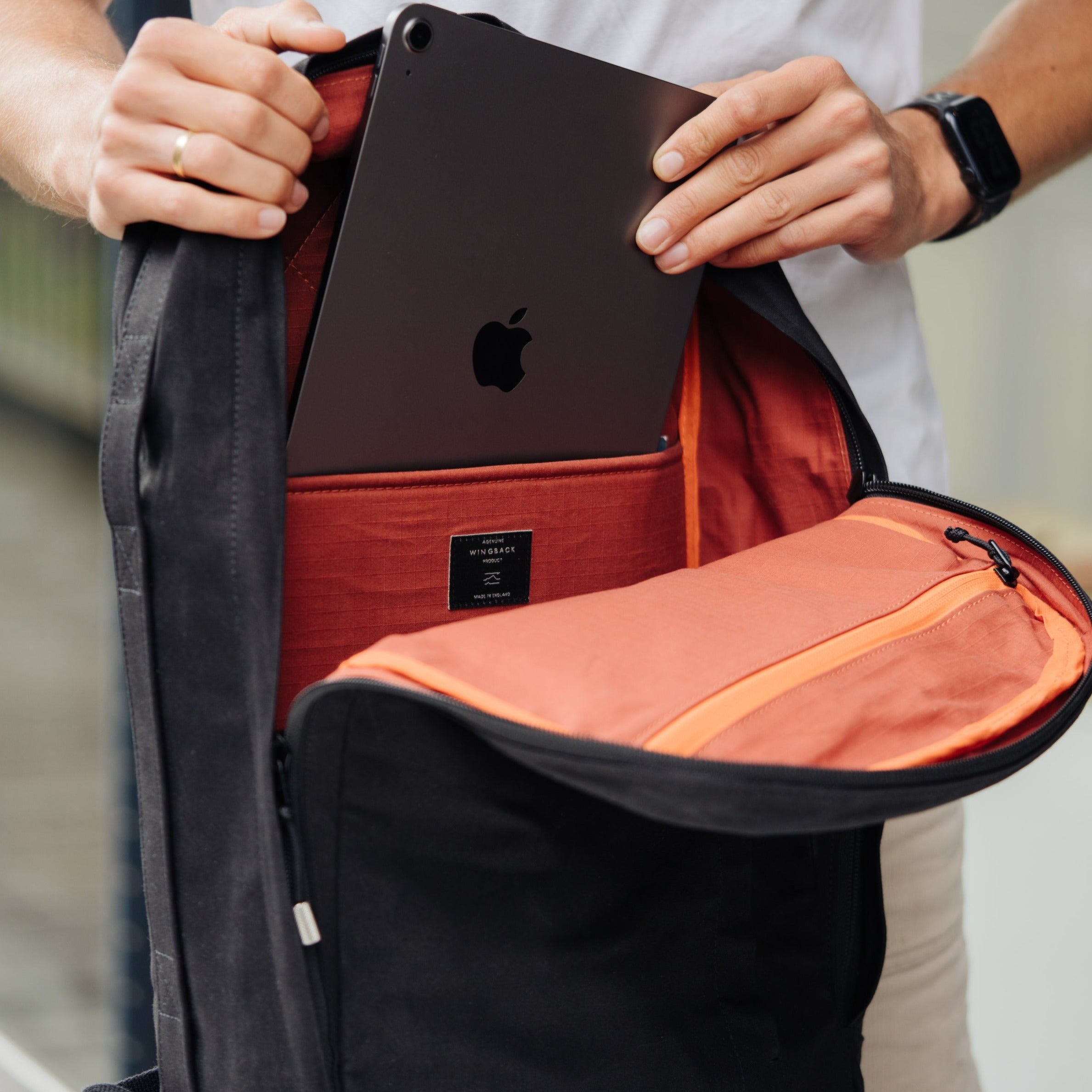 W301BLA-TER-STE Ежедневная упаковка 21 л - терракота / нержавеющая сталь Wingback  - Вид №10