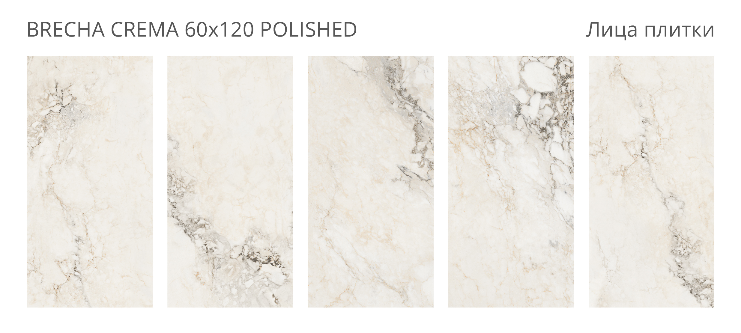 Palacio BRECHA CREMA — Элегантность мрамора в вашем интерьере STP-ST509 INCOLOR - Вид №1