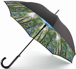L754-3970 Зонт женский трость L754 Bloomsbury Fulton