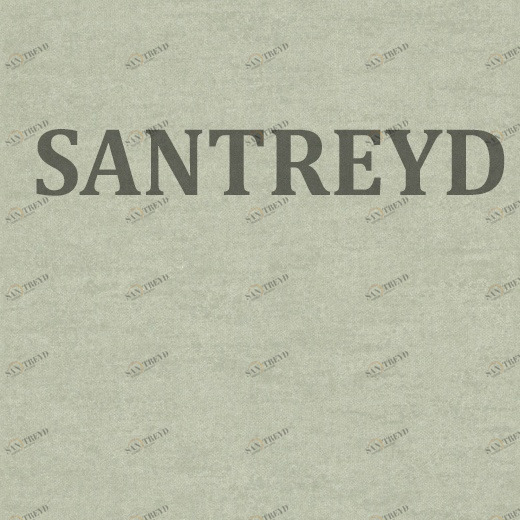 228426 Обои Rasch Textil Aristide