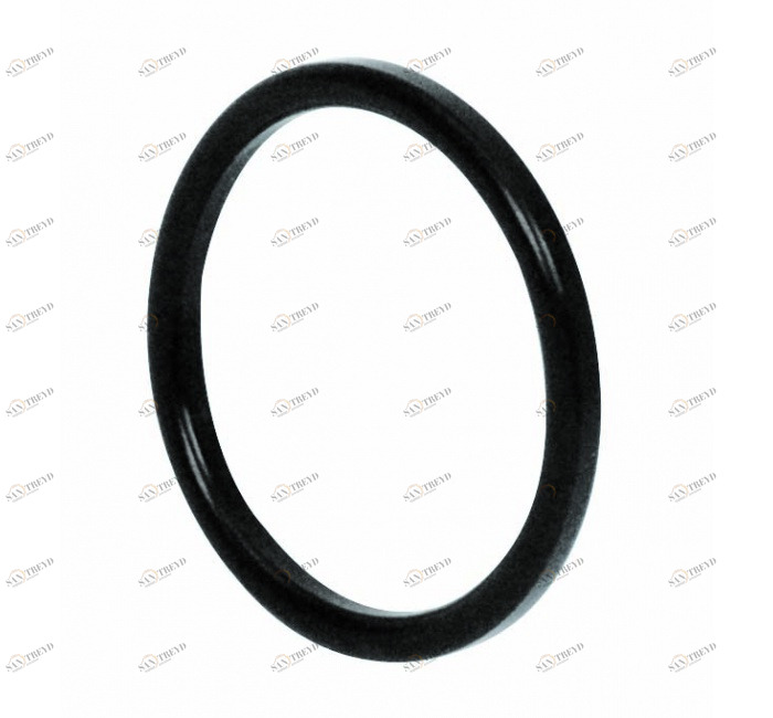 GENEBRE 2957 04 Кольцо уплотнительное для разъема DIN 11851 