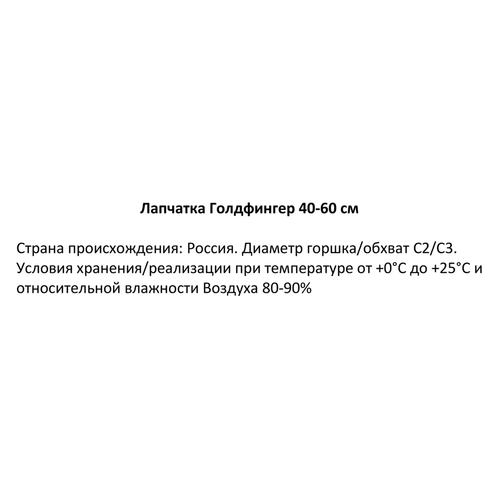 Лапчатка Голдфингер ø19 см h40-60 см 85087617 STLM-2077130 Santreyd 