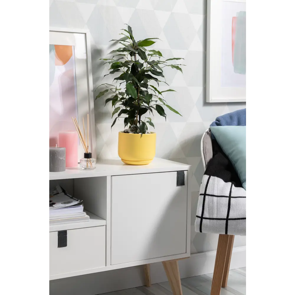 Горшок цветочный Орфей ø15 h15 см v1.2 л керамика жёлтый Santreyd STLM-2101786 - Вид №2