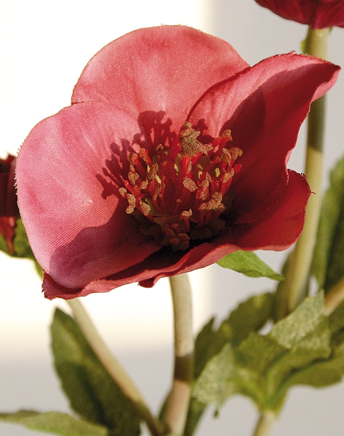 2577 499 a2 Пластиковая рождественская роза, 32 см, антично-темно-красная H-andreas  - Вид №2