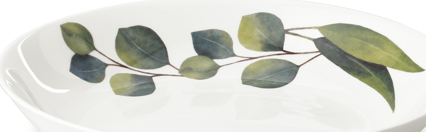 10639954 Dibbern Тарелка суповая Dibbern "Эвкалипт" 22,5см Фарфор 