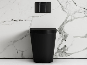 Керамический туалет без пола