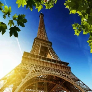 WP00124 Фотообои Verol Фотообои decoline 1х1 м