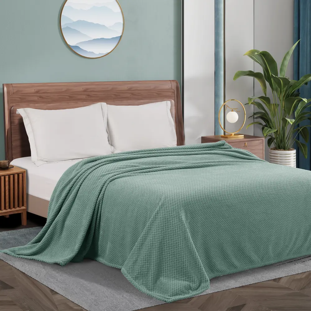 Плед Tula 220x240 см велсофт цвет зеленый СТОЛИЦА ТЕКСТИЛЯ STLM-2141185 - Вид №4