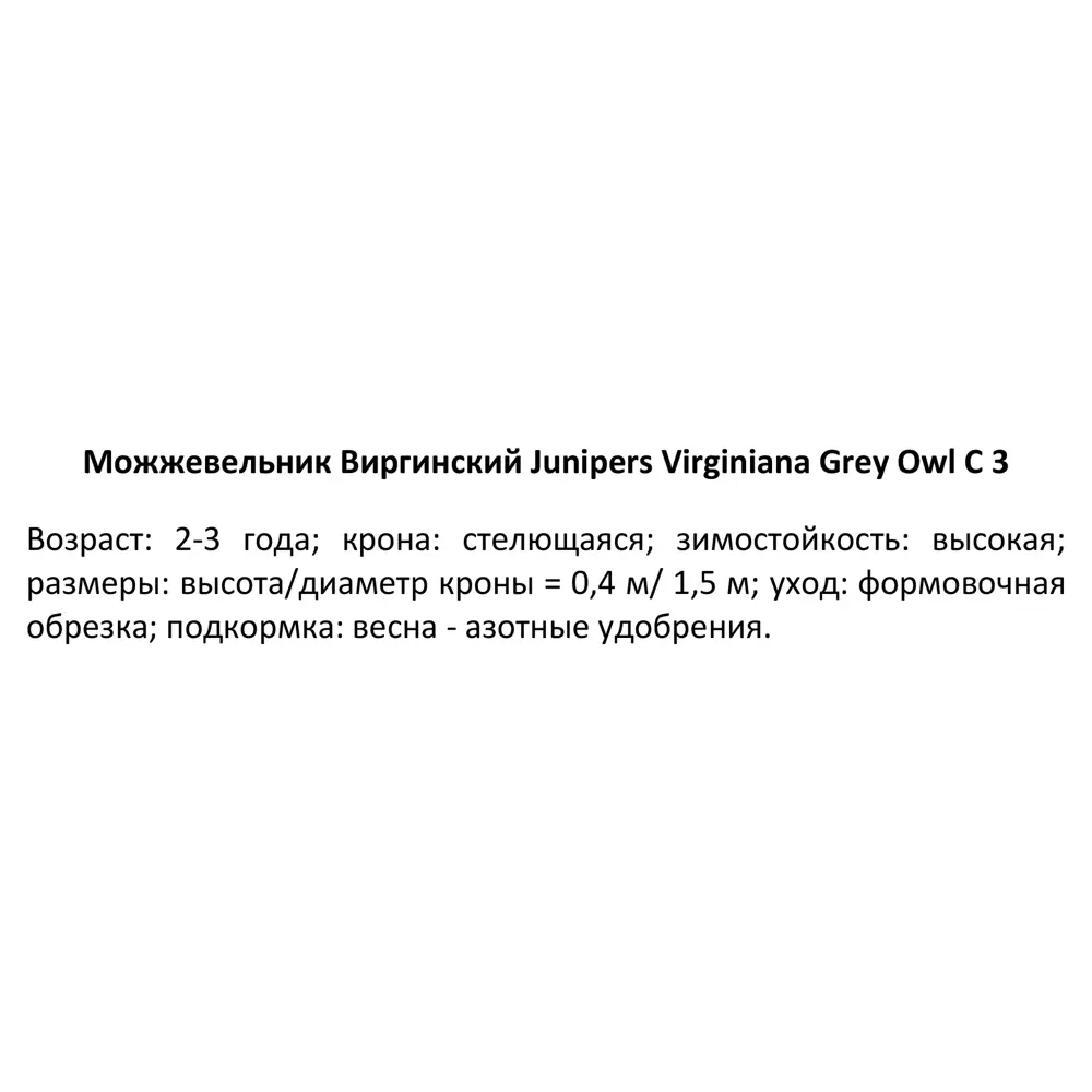 Можжевельник виргинский Грей Оул - хвойный многолетник для сада 85440396 PLANTMARKET STLM-1584306 - Вид №2