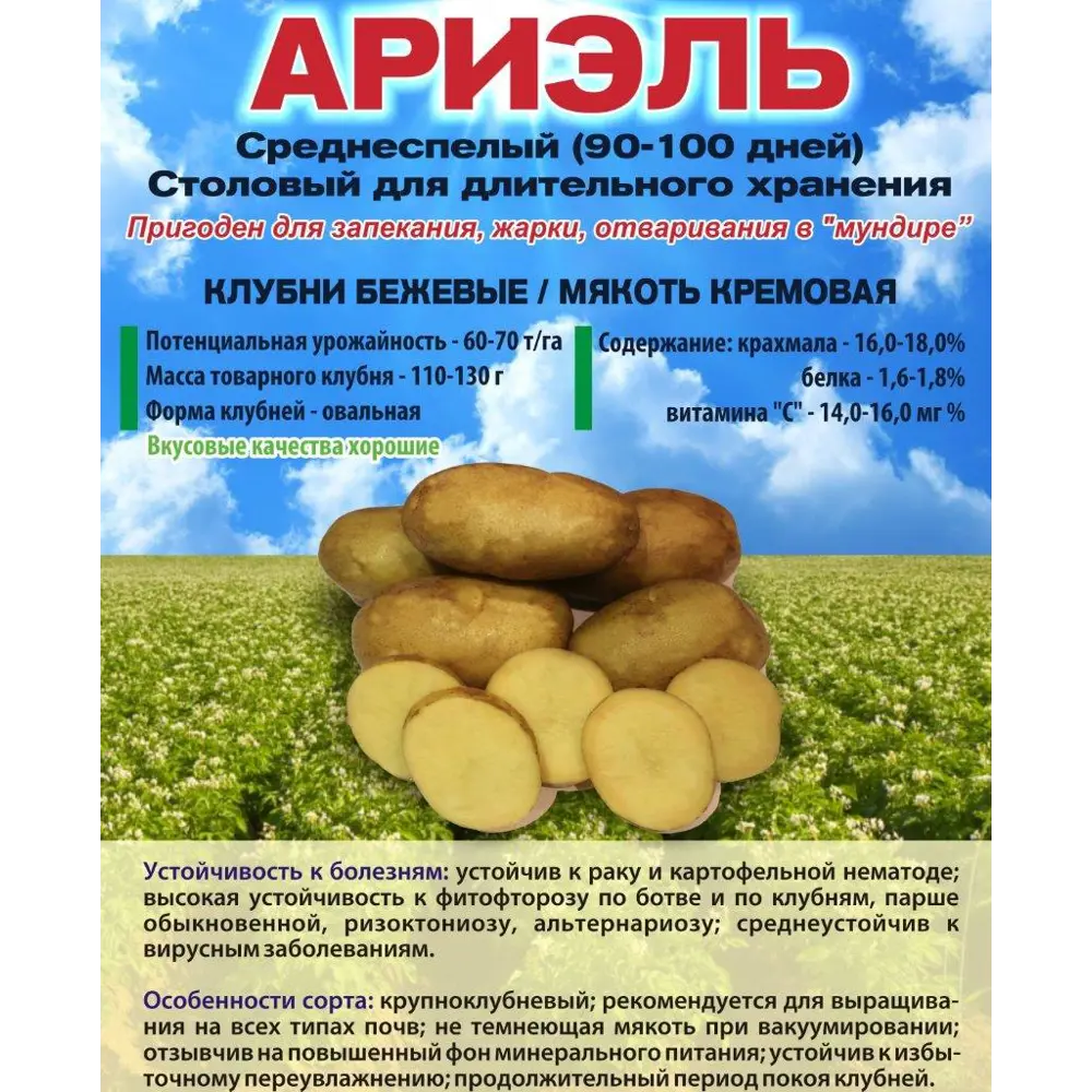 Картофель Ариэль Суперэлита 2 кг 89413145 STLM-2076190 Santreyd 