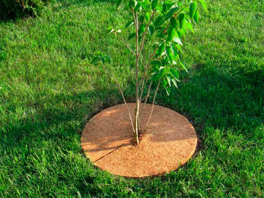 Круг приствольный Мульчаграм 90 см, комплект - 5шт ГеоПластБорд GPBST-246 - Вид №7