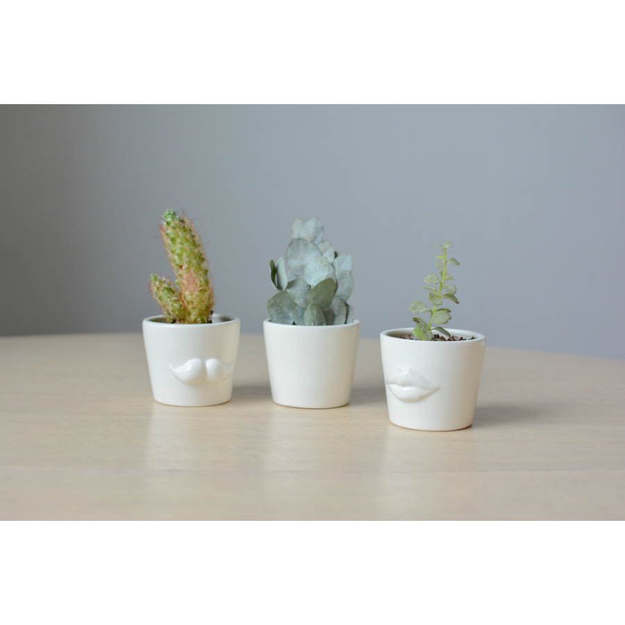 Набор для выращивания Eco мини-кашпо «Усы» ЭКОЧЕЛОВЕКИ MIN102 - Вид №4