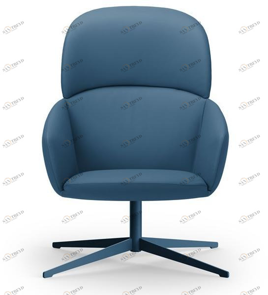 True Design Кожаное кресло на 4-х спицах с высокой спинкой Not sun-id-1512136