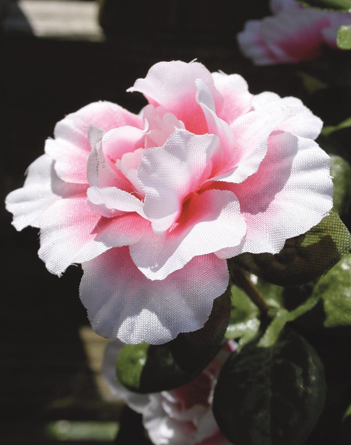 2116 705 a2 Искусственная азалия, горшечная, 26 см, бело-розовая H-andreas  - Вид №3