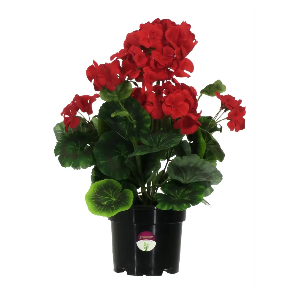 Искусственное растение Герань ø13 h37 см Santreyd STLM-2034823