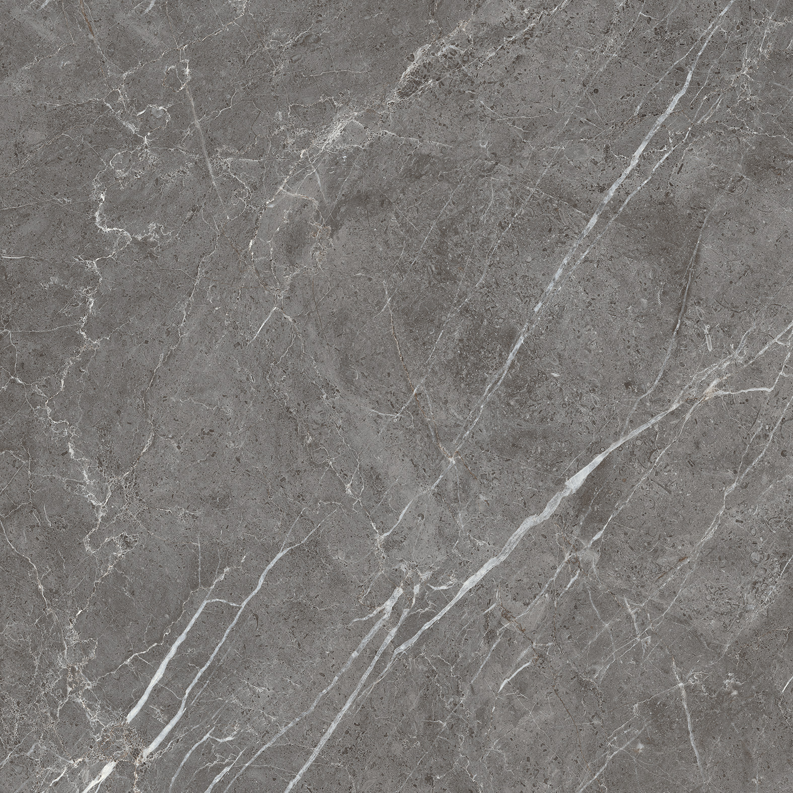 ESPERIA GRIGIO ARCADIA CERAMICA CR6001-A - Вид №8